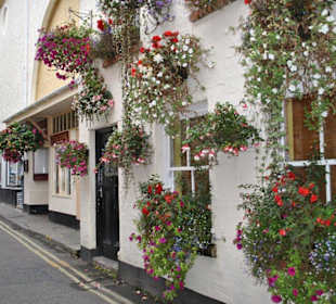 Padstow-schönes Haus-schöne Aussicht