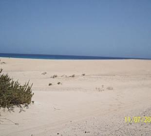 Die Dünen bei Corralejo