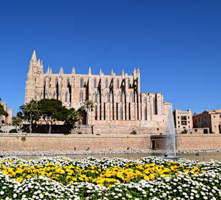 Willkommen in Palma