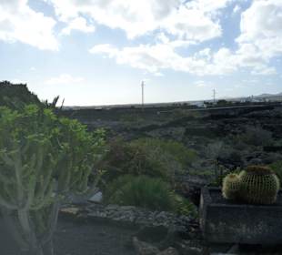 Fundacion Cesar Manrique