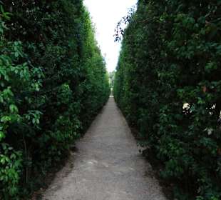 Ogród Boboli