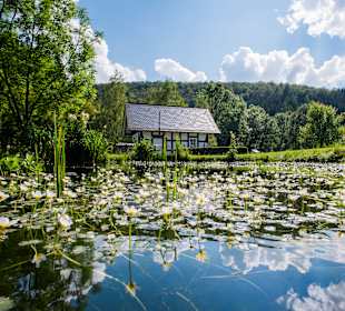 Wandern Schmallenberg