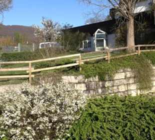 Panorama Therme Beuren