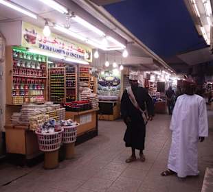 Unser "Stalker" ist immer in der Nähe