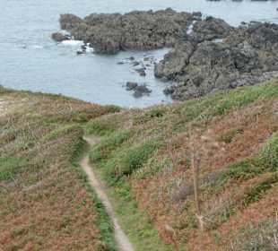 Wieder ein Klippenpfad