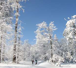  Naturpfad