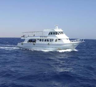 Ausflug Giftun Insel