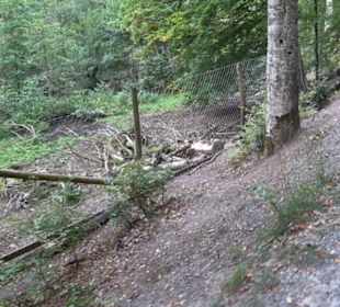 Altwege Rundwanderung Bebenhausen