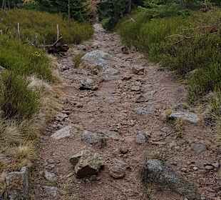 Wandern Swieradow Zdroj/Bad Flinsberg