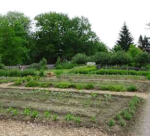 In Park&Garten...