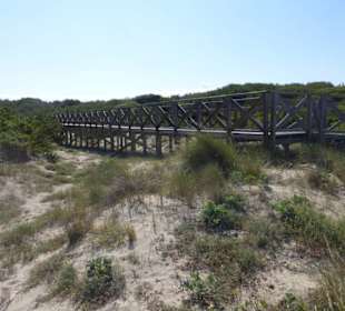 Auf Stegen durch die Dünen von d'es Comú de Muro