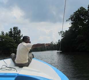 Bootsfahrt auf dem Bentota-Fluss