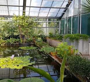 Botanischer Garten 