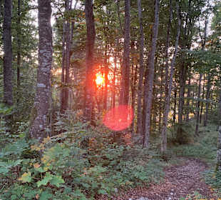 Wandern Läufelfingen