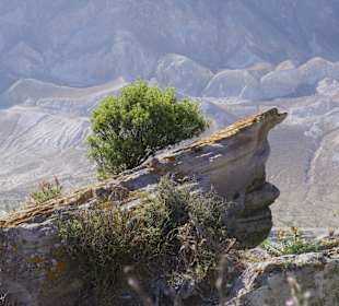 Blick über den Vulkan auf Nisyros