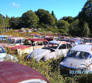 Autofriedhof am Foxen