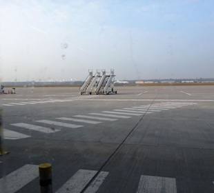 Flughafenfeld - Tegel