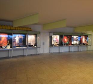 Freilichtmuseum Skansen