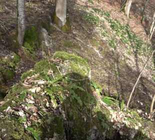 Wasserfallsteig