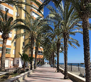 Strand Algarrobo-Costa