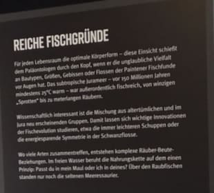 Dinosaurier Museum Altmühltal