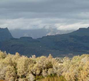 Blick über die Dünen