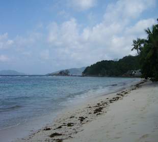 Ausflug mit Mario von Edelweiss Tours