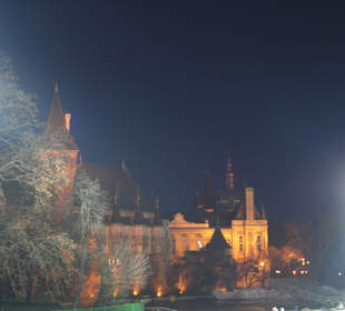 Burganlage Vajda-Hunyad