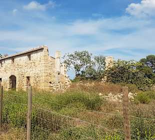 Naturpark S'Albufera