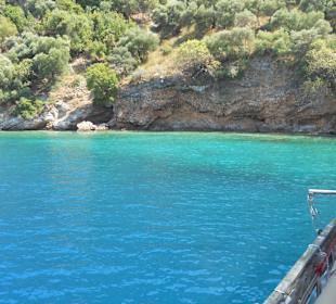 Bucht Aquarium Bay