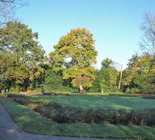 Eindrücke aus dem Bürgerpark Bremerhaven