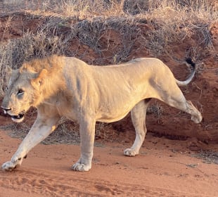 Tsavo West