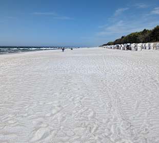 Strand Zingst