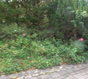 Erlebnispark Tripsdrill