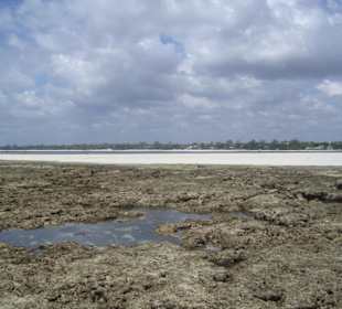 Ausflug Glasbodenboot Diani Beach