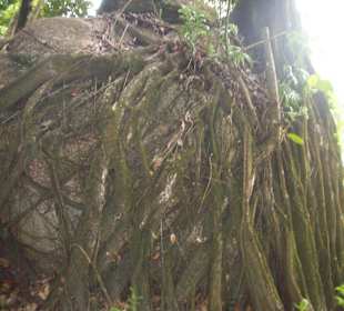 Ausflug mit Mario von Edelweiss Tours
