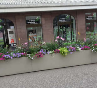 Schmidsche Apotheke