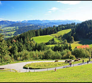 Auf der Alm