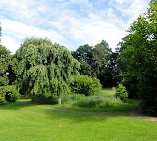 Spaziergang durch den Stadtpark
