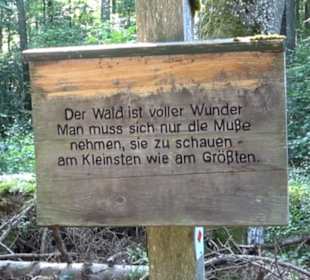 Waldlehrpfad St. Johann