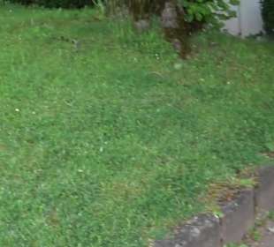 Johanneskirche Grüntal