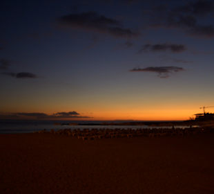 Strand Playa de las Americas