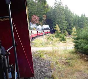 Auf dem Weg ins Tal (Brocken)