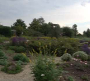 ALB-GOLD Naturgarten