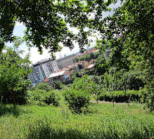 Cetatuia Park