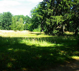 Wilde Landschaft abseits vom Schloss 