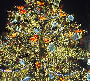 Vánoční strom na Staroměstském náměstí v Praze