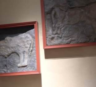 National Museum Of Archaeology