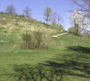 Monte Kik