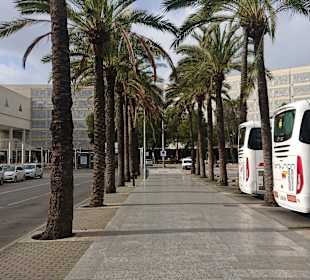 Flughafen Palma de Mallorca/Son Sant Joan (PMI)	